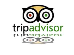 Trip advisor